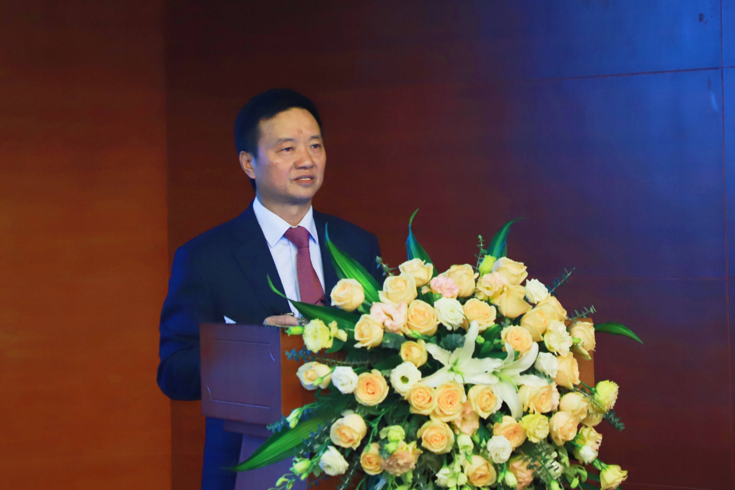 《金证基本法》正式发布.jpg